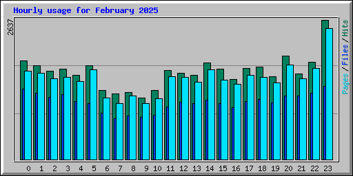 Hourly usage for February 2025