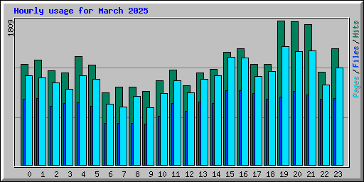 Hourly usage for March 2025