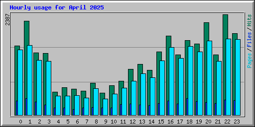 Hourly usage for April 2025