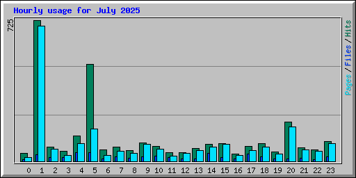 Hourly usage for July 2025