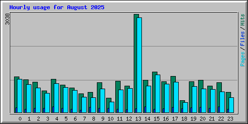 Hourly usage for August 2025
