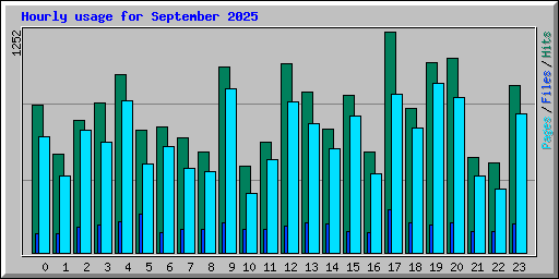 Hourly usage for September 2025