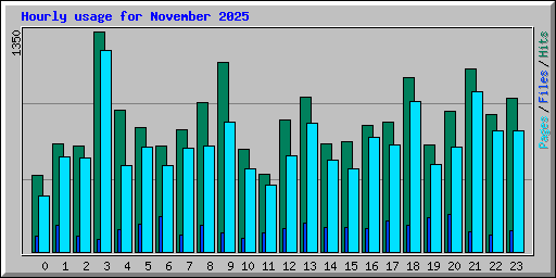Hourly usage for November 2025